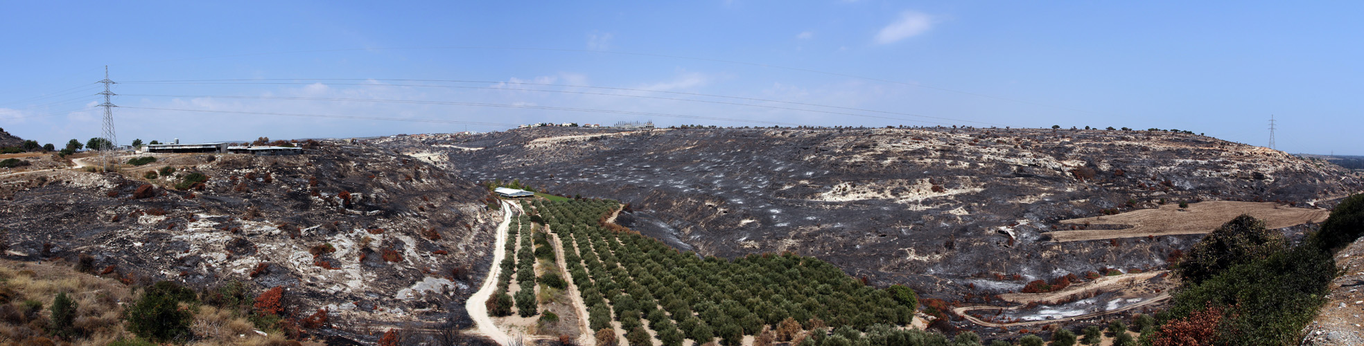 Panorama 82.jpg